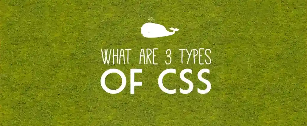 What are 3 types of CSS