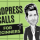 Wordpress Calls That Are Useful For Beginners