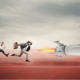 Seo Company New Jersey
