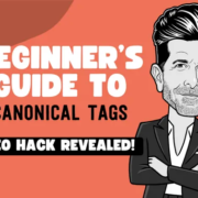 Beginners Guide Canonical Urls Tags